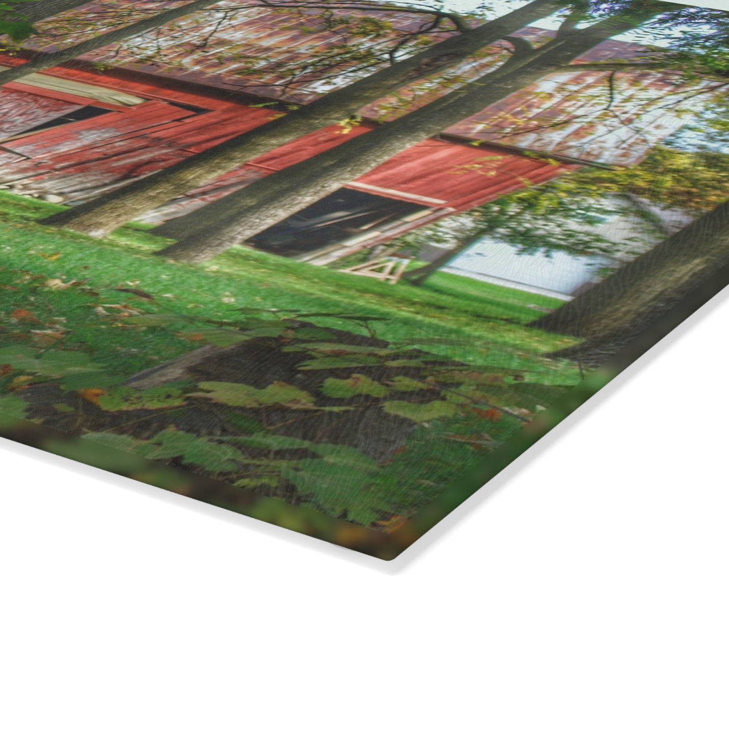 U R There Photography LeValley Falling Red Rustic Farmhouse Tempered-Glass Cutting Board