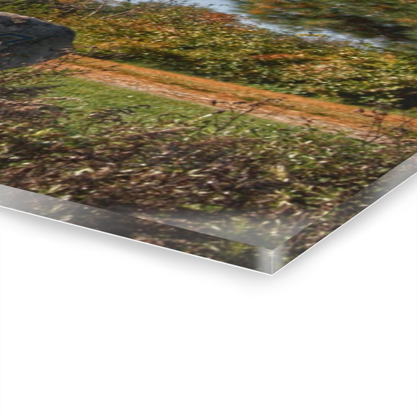 U R There Photography Hemingway Lake Road Red Rustic Farmhouse Acrylic Wall Print