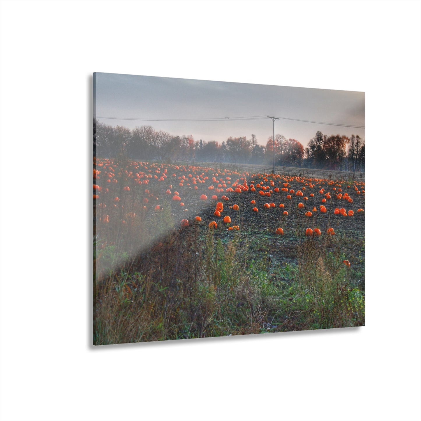 U R There Photography Five Lakes Pumpkins Rustic Farmhouse Acrylic Wall Print