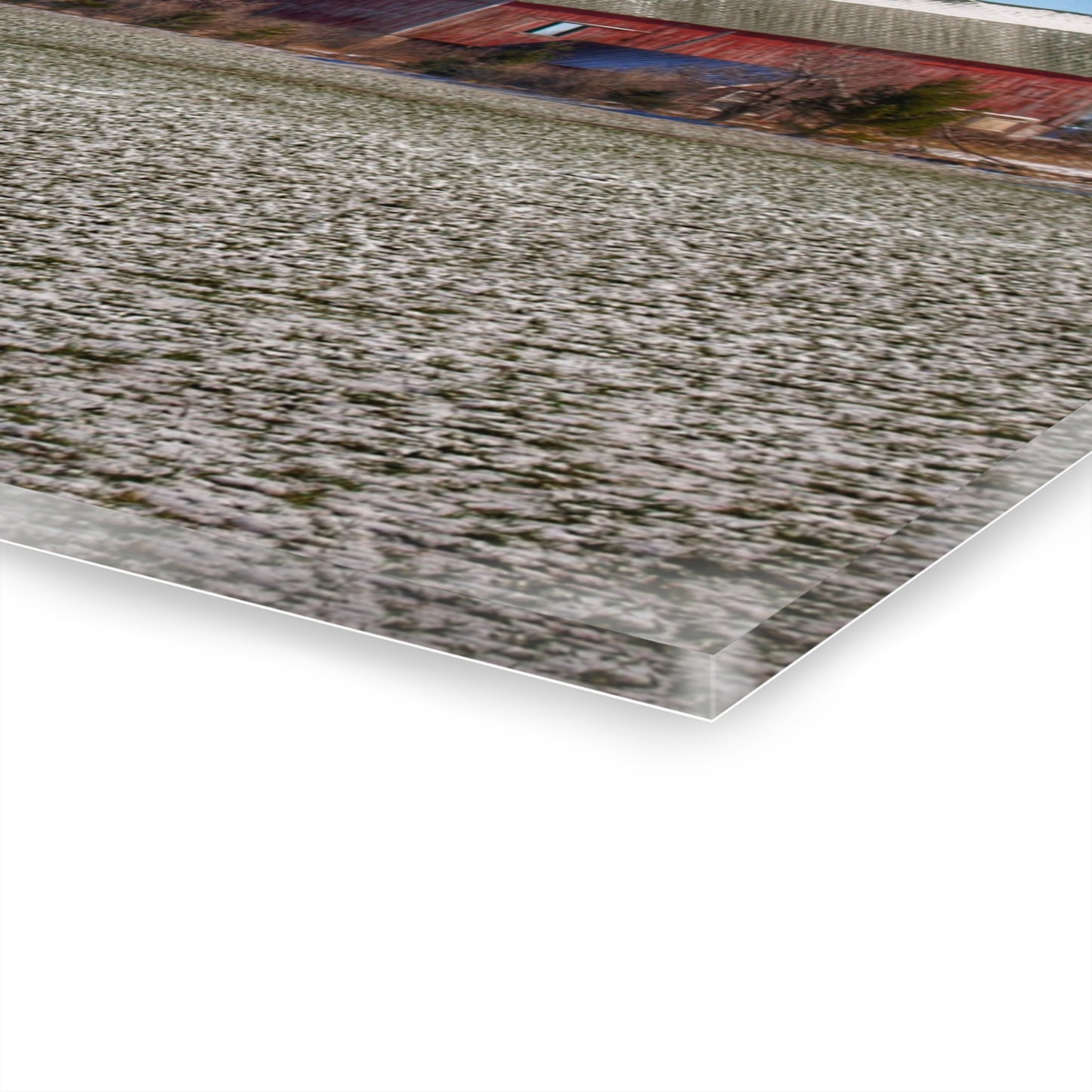 U R There Photography Early Spring Red I Rustic Farmhouse Acrylic Wall Print