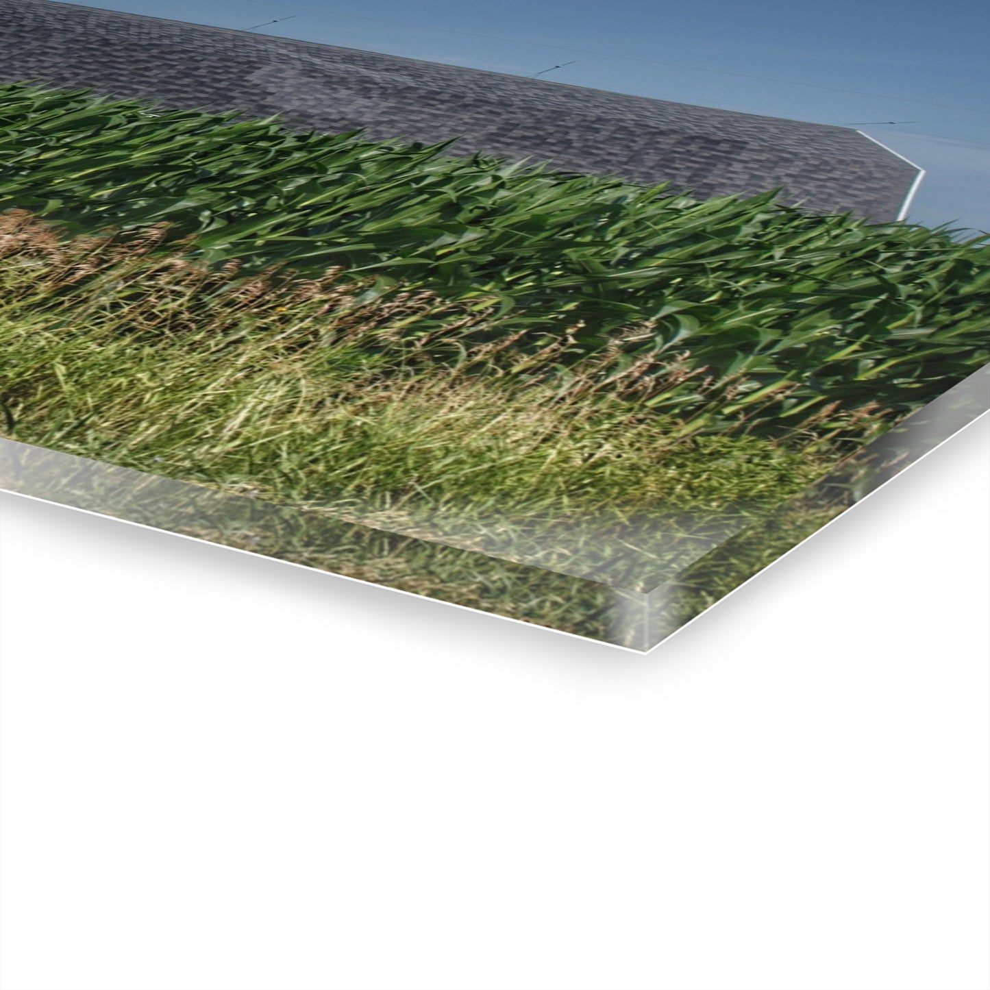 U R There Photography North Lake Pleasant Red Above the Corn Rustic Farmhouse Acrylic Wall Print