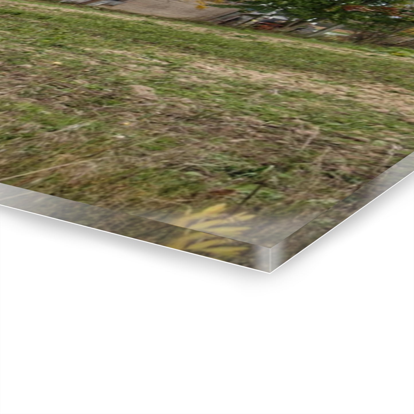 U R There Photography Elmwood Road Red II Rustic Farmhouse Acrylic Wall Print