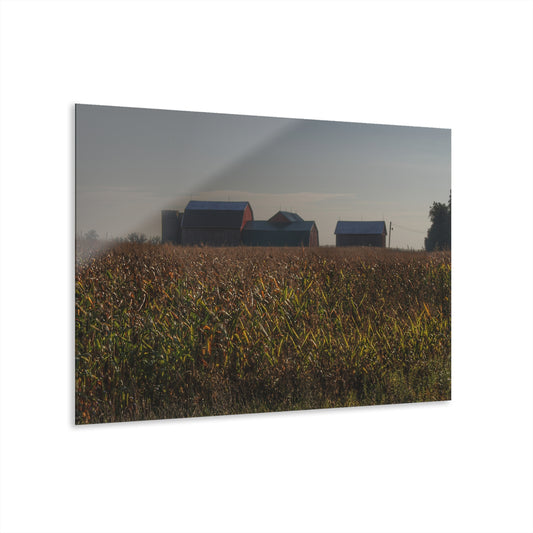 U R There Photography Slattery Road Farm and Cornfield I Rustic Farmhouse Acrylic Wall Print