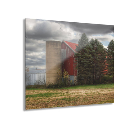 U R There Photography Laur Road Red Among the Pines II Rustic Farmhouse Acrylic Wall Print