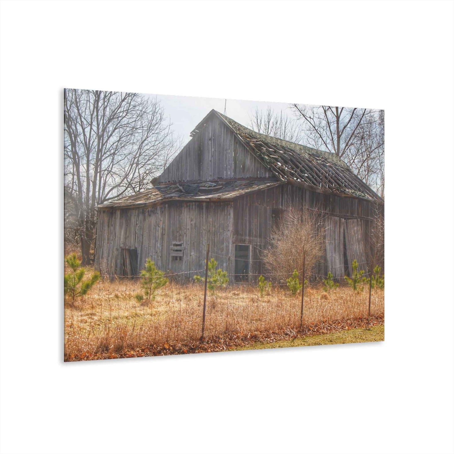 U R There Photography Leix Road Forgotten Grey I Rustic Farmhouse Acrylic Wall Print