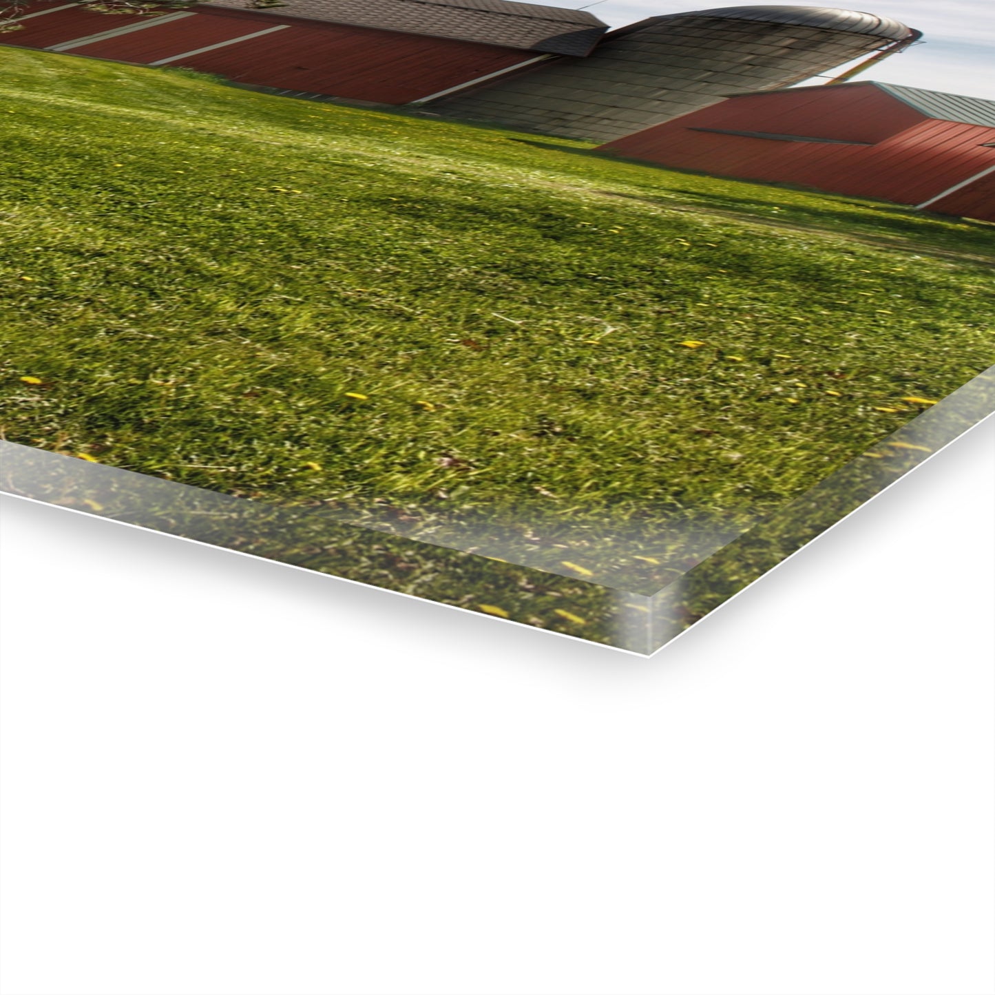 U R There Photography Maple Leaf Road Red Rustic Farmhouse Acrylic Wall Print