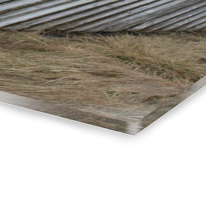 U R There Photography Country Fence Rustic Farmhouse Acrylic Wall Print
