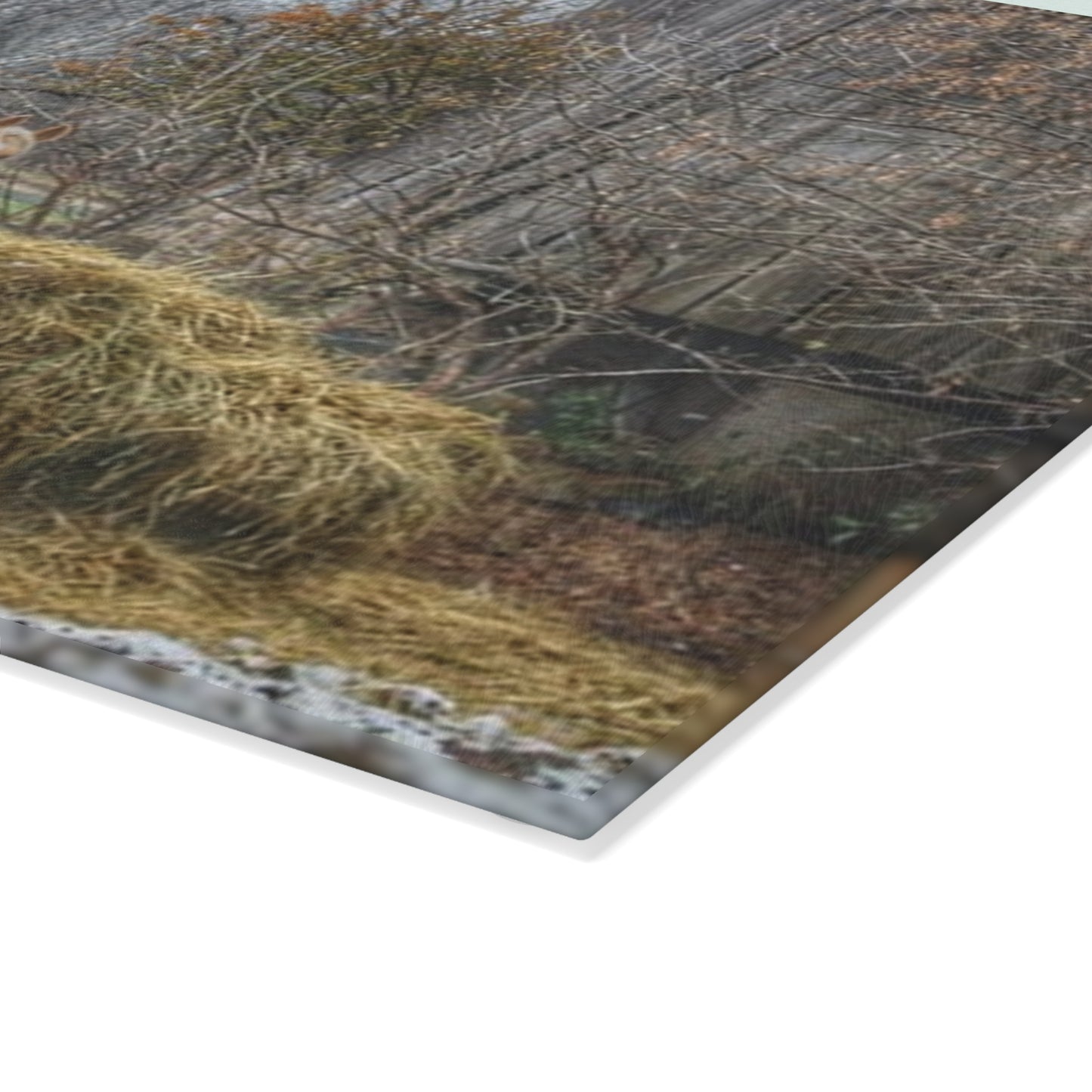 U R There Photography French Road Butterscotch Rustic Farmhouse Tempered-Glass Cutting Board