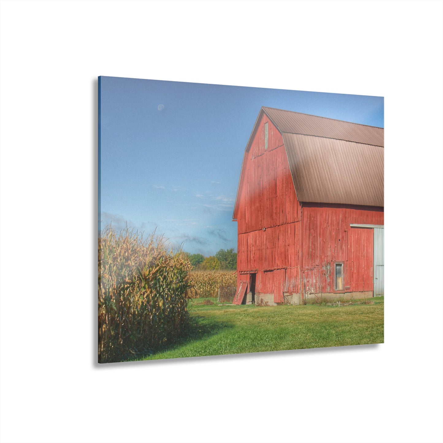U R There Photography Fargo Road Red I Rustic Farmhouse Acrylic Wall Print