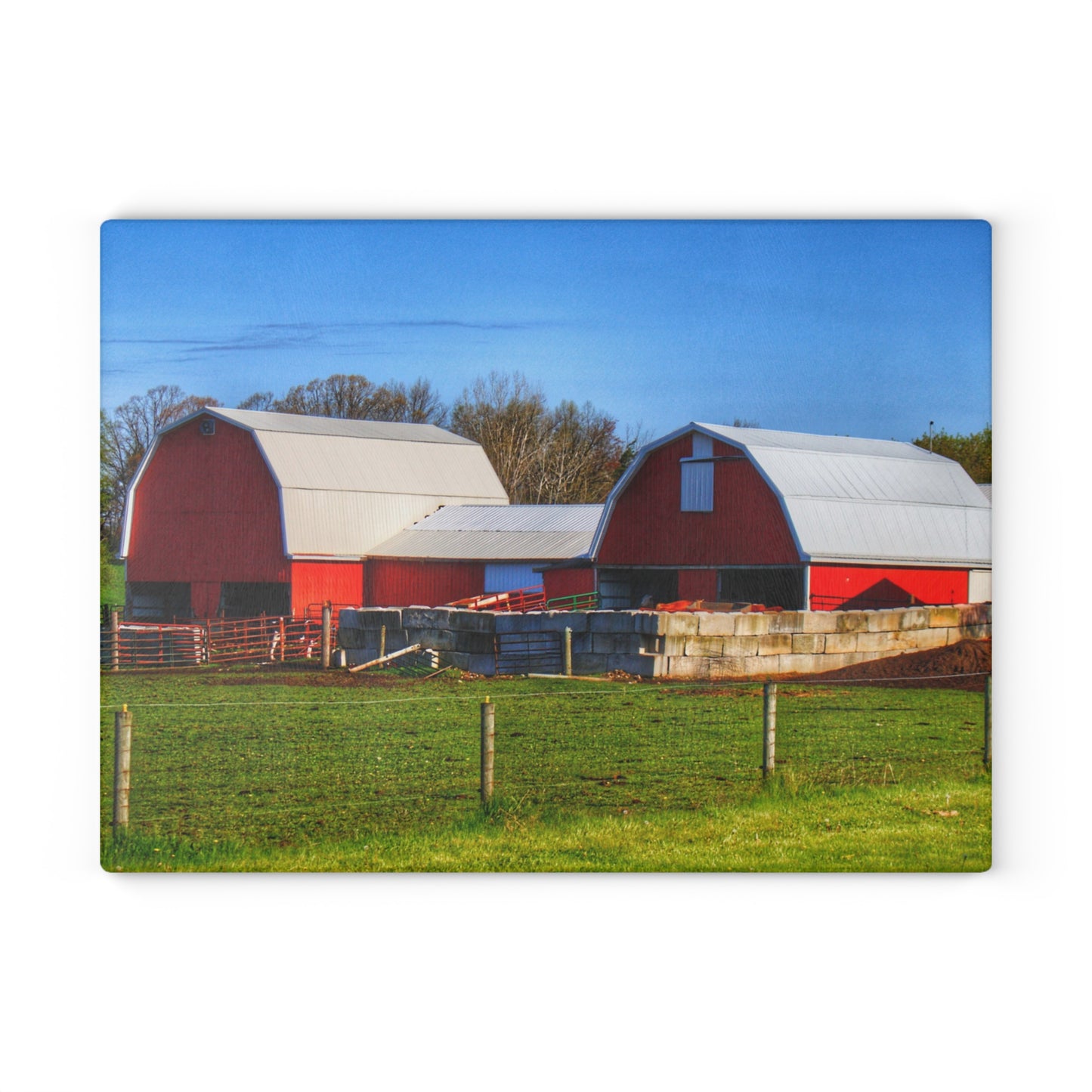 U R There Photography M-15 Reds Rustic Farmhouse Tempered-Glass Cutting Board
