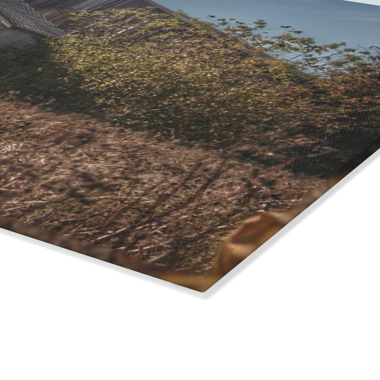 U R There Photography Fulmer Road Greys Rustic Farmhouse Tempered-Glass Cutting Board