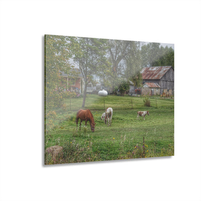 U R There Photography Front Yard Ponies Rustic Farmhouse Acrylic Wall Print