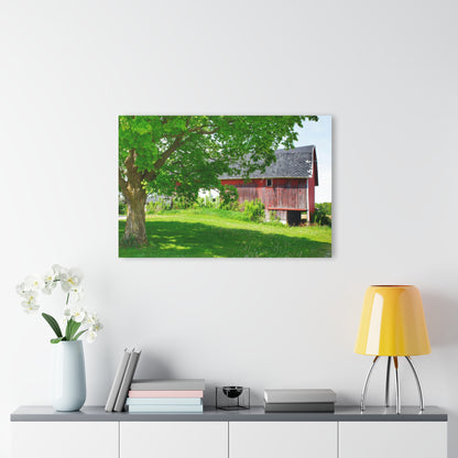 U R There Photography Colwood Road Red Rustic Farmhouse Acrylic Wall Print