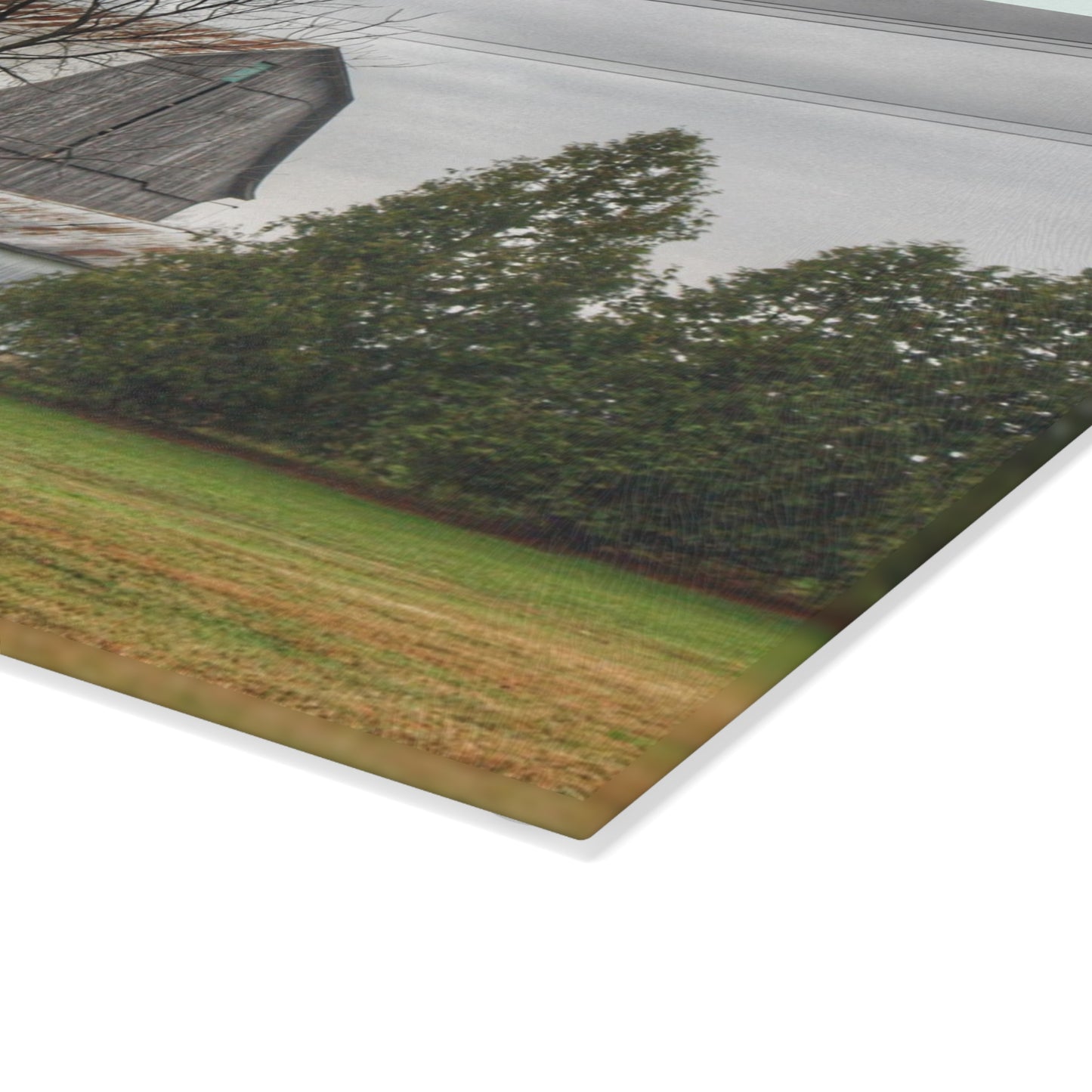 U R There Photography Eddy Road Grey I Rustic Farmhouse Tempered-Glass Cutting Board