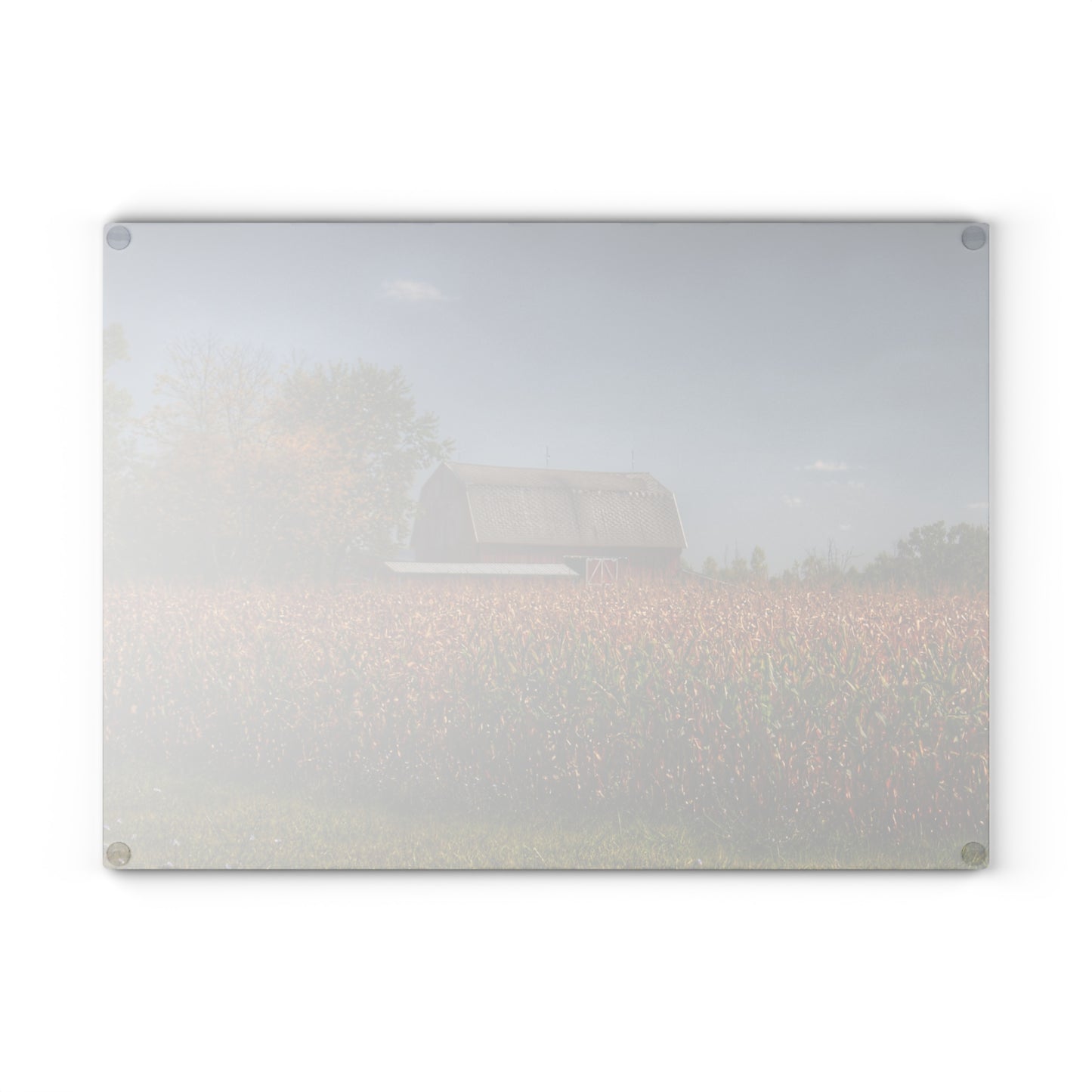 U R There Photography Clifford Road Red III Rustic Farmhouse Tempered-Glass Cutting Board