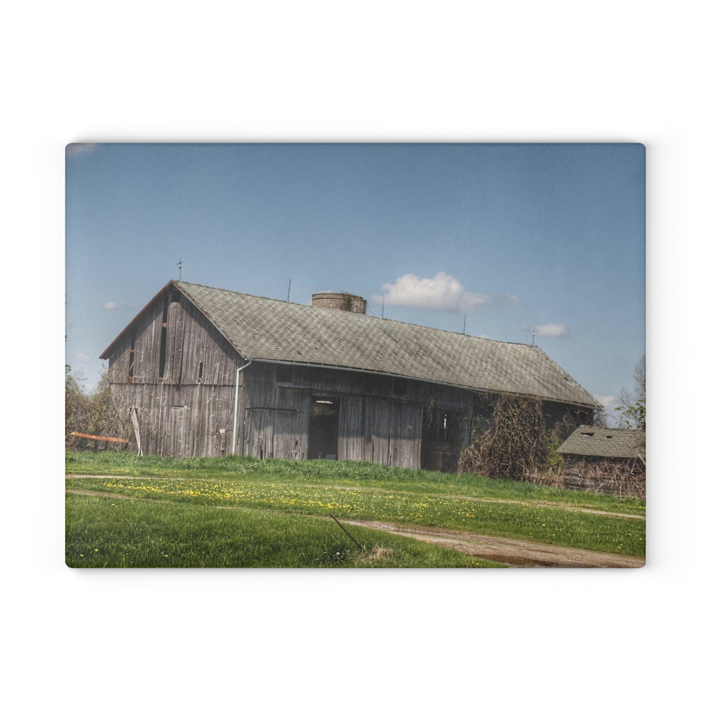 U R There Photography Wilder Road Grey II Rustic Farmhouse Tempered-Glass Cutting Board