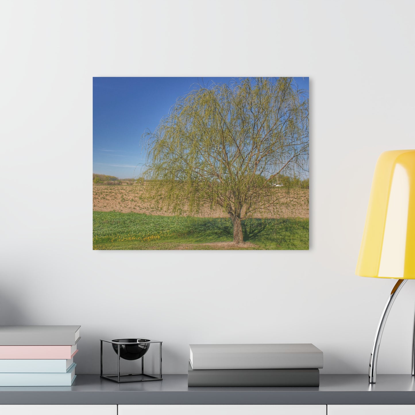 U R There Photography Spring Farm Willow Tree Rustic Farmhouse Acrylic Wall Print