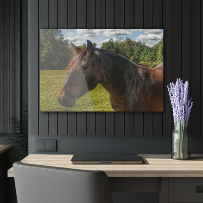 U R There Photography Brown Beauty I Rustic Farmhouse Acrylic Wall Print