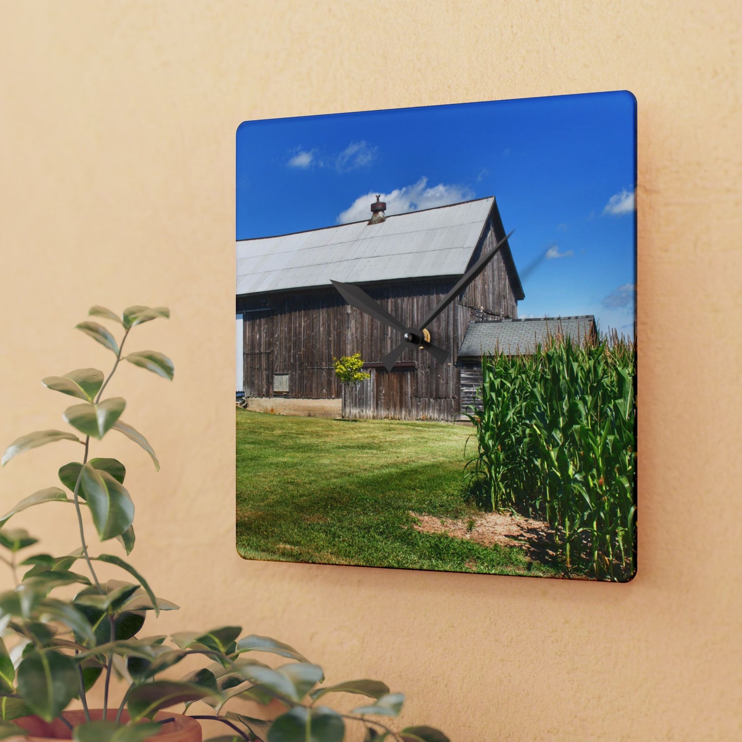 U R There Photography Frog Barn Rustic Farmhouse Acrylic Analog Wall Clock