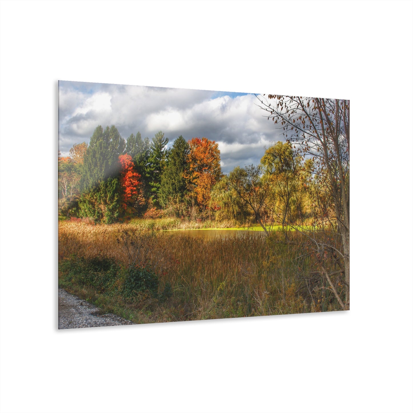 U R There Photography Fall Pond on Sutton Road Rustic Farmhouse Acrylic Wall Print