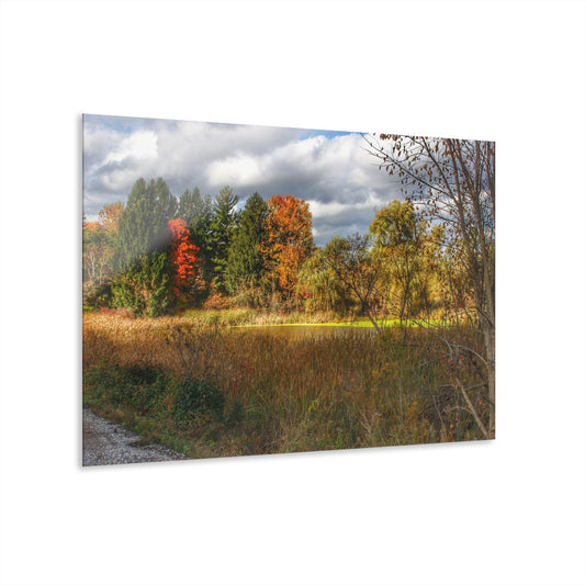 U R There Photography Fall Pond on Sutton Road Rustic Farmhouse Acrylic Wall Print