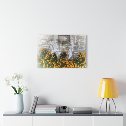 U R There Photography Golden Blooms on McDowell Rustic Farmhouse Acrylic Wall Print