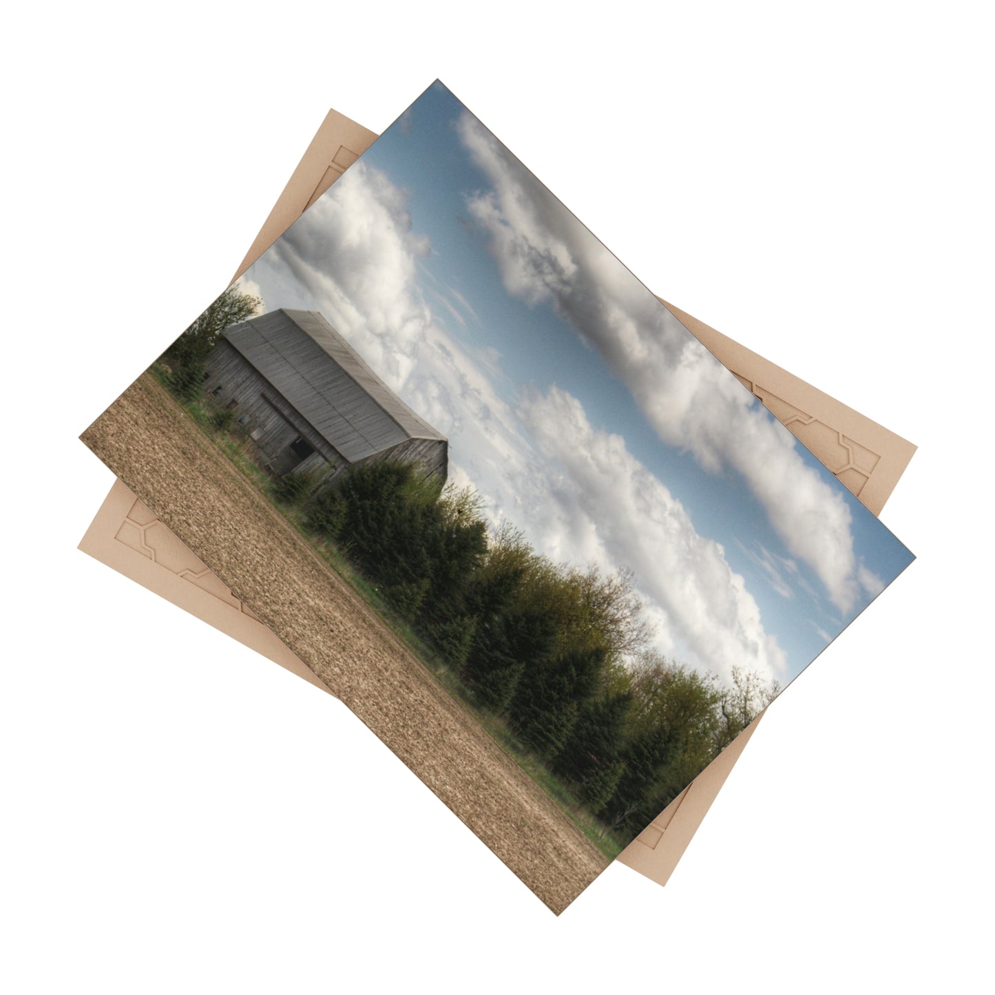 U R There Photography Sandusky Grey in the Pines Rustic Farmhouse Decorative Ceramic Tile