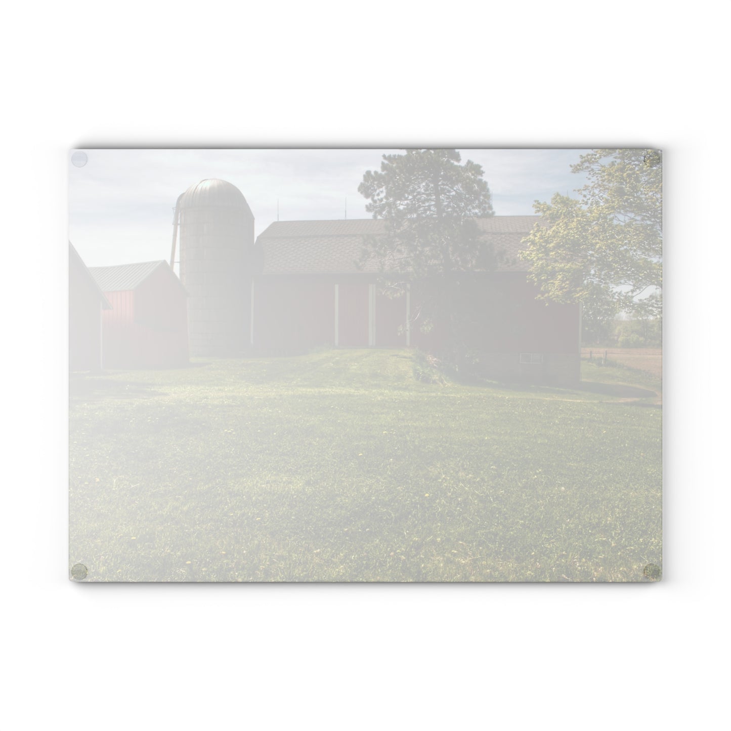 U R There Photography Maple Leaf Road Red Rustic Farmhouse Tempered-Glass Cutting Board