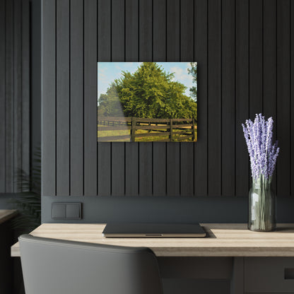 U R There Photography Country Fence and Tree in Metamora Rustic Farmhouse Acrylic Wall Print