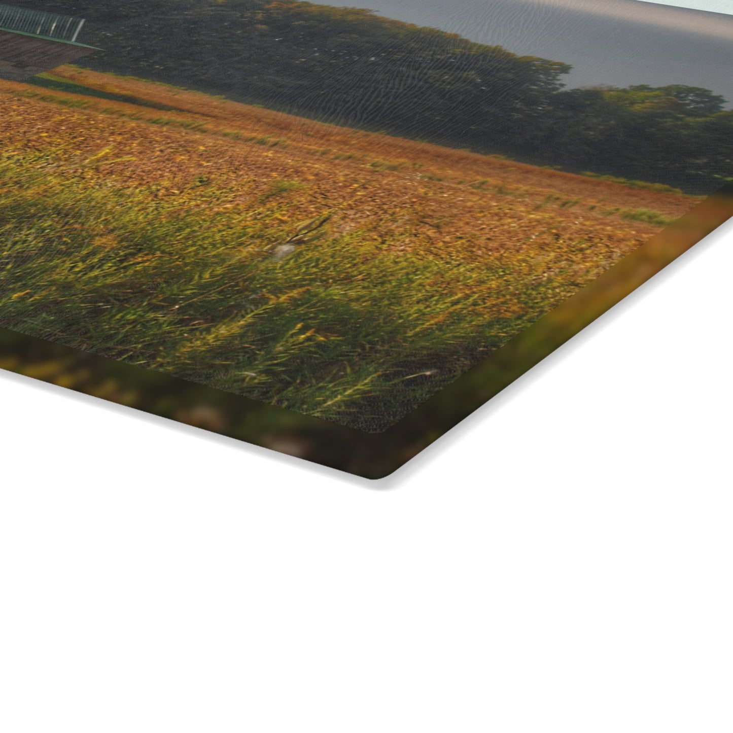 U R There Photography Snover Grey I Rustic Farmhouse Tempered-Glass Cutting Board