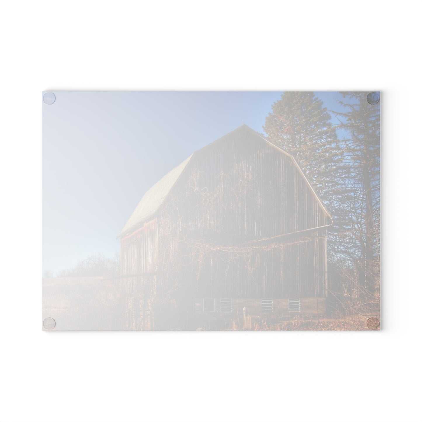 U R There Photography Newark Road Brown Beauty Rustic Farmhouse Tempered-Glass Cutting Board