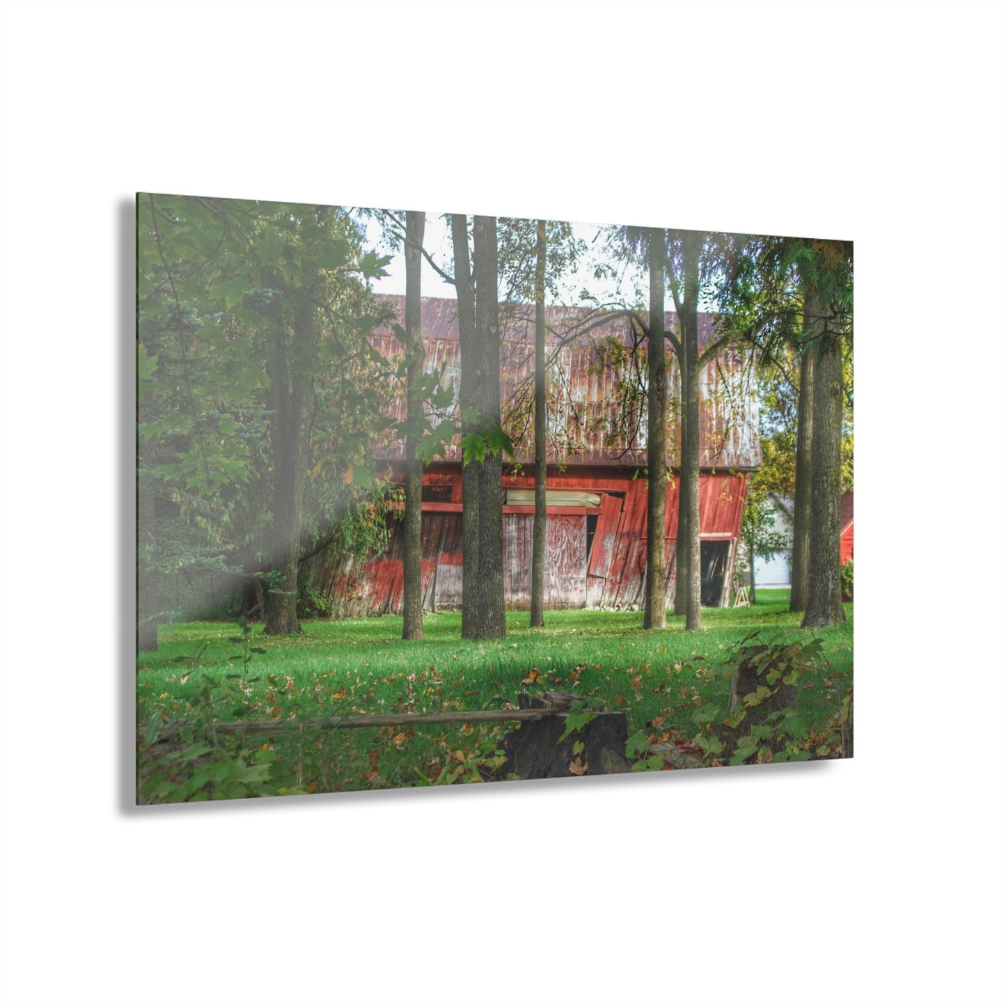U R There Photography LeValley Falling Red Rustic Farmhouse Acrylic Wall Print