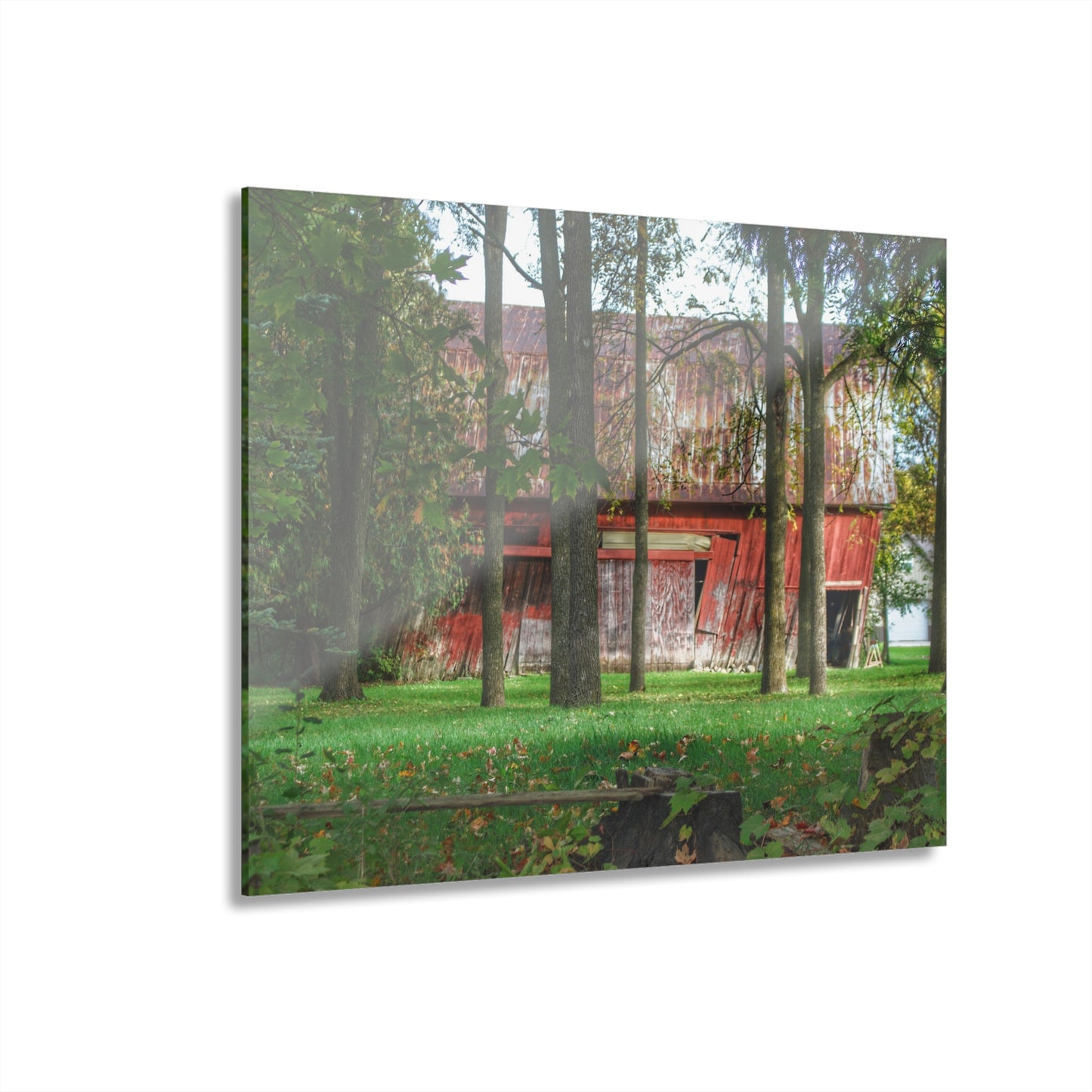 U R There Photography LeValley Falling Red Rustic Farmhouse Acrylic Wall Print