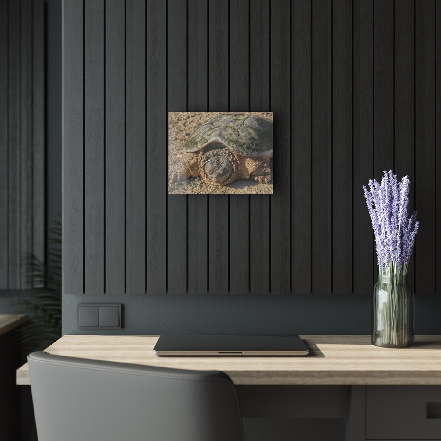 U R There Photography Fargo Road Turtle Rustic Farmhouse Acrylic Wall Print