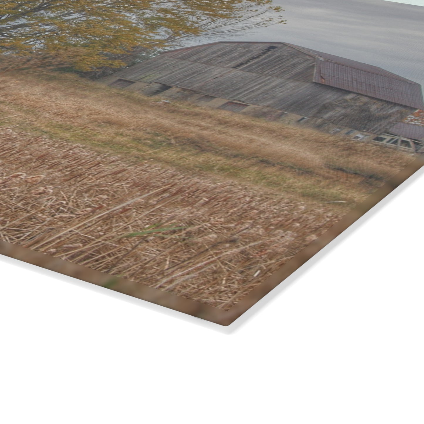 U R There Photography Swaffer Road Hilltop Grey Rustic Farmhouse Tempered-Glass Cutting Board