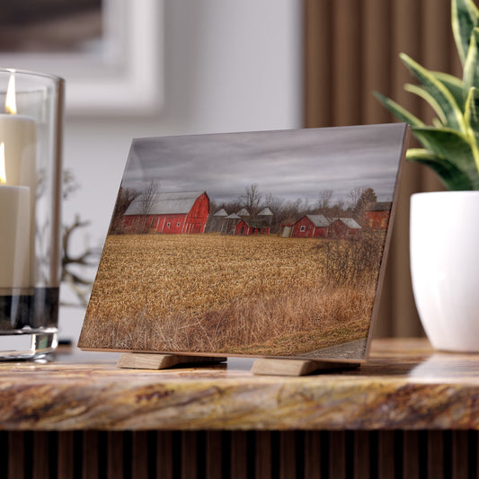 U R There Photography Barns of Arbela II Rustic Farmhouse Decorative Ceramic Tile