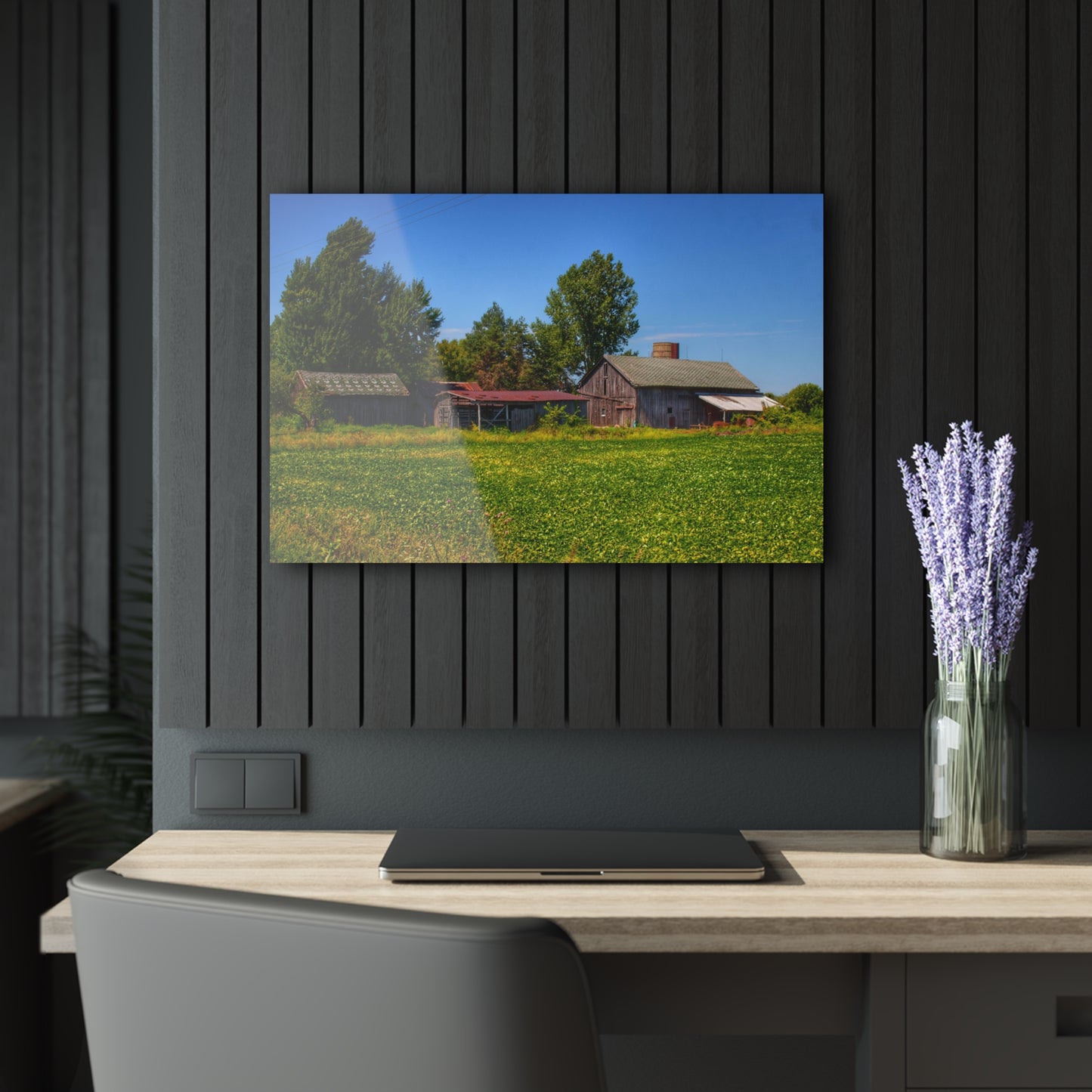 U R There Photography Birch Run Road Greys I Rustic Farmhouse Acrylic Wall Print