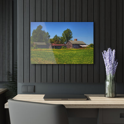 U R There Photography Birch Run Road Greys I Rustic Farmhouse Acrylic Wall Print