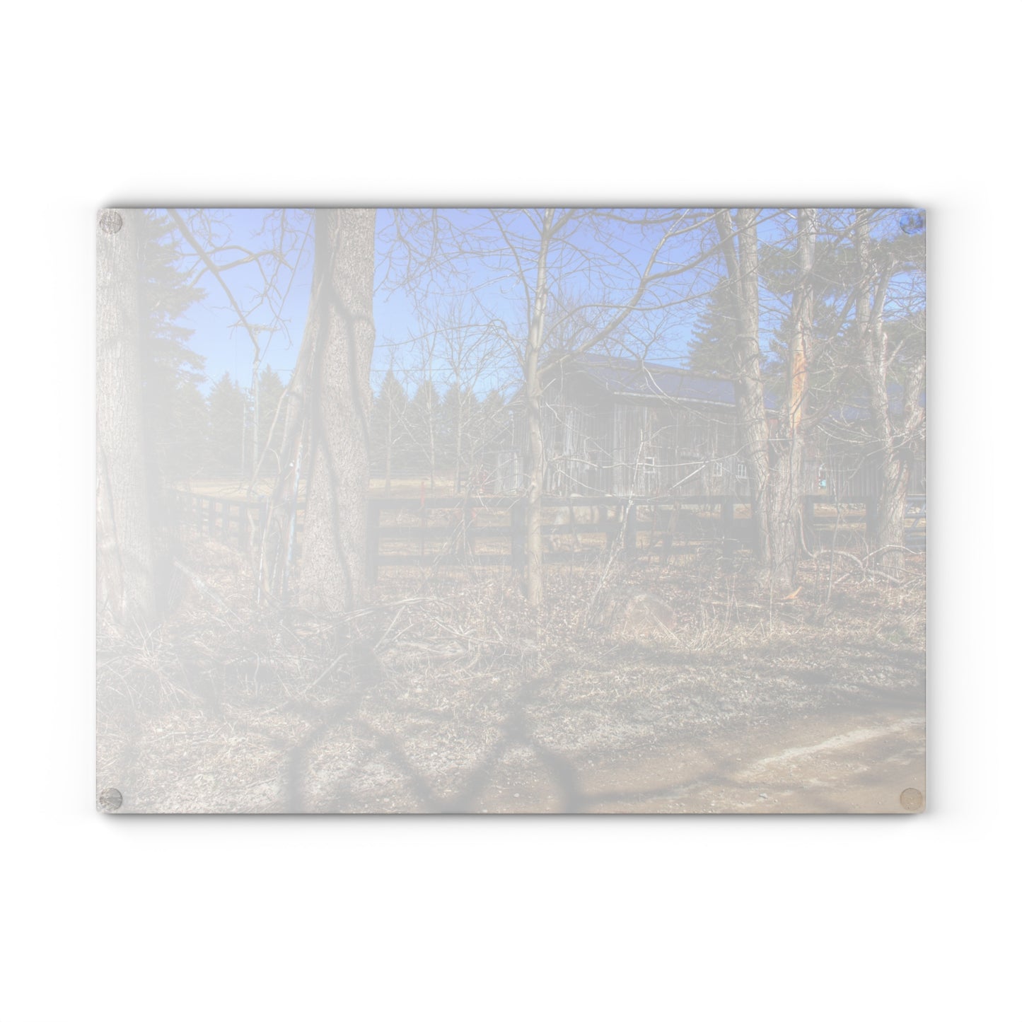 U R There Photography Brewer Road Grey Rustic Farmhouse Tempered-Glass Cutting Board