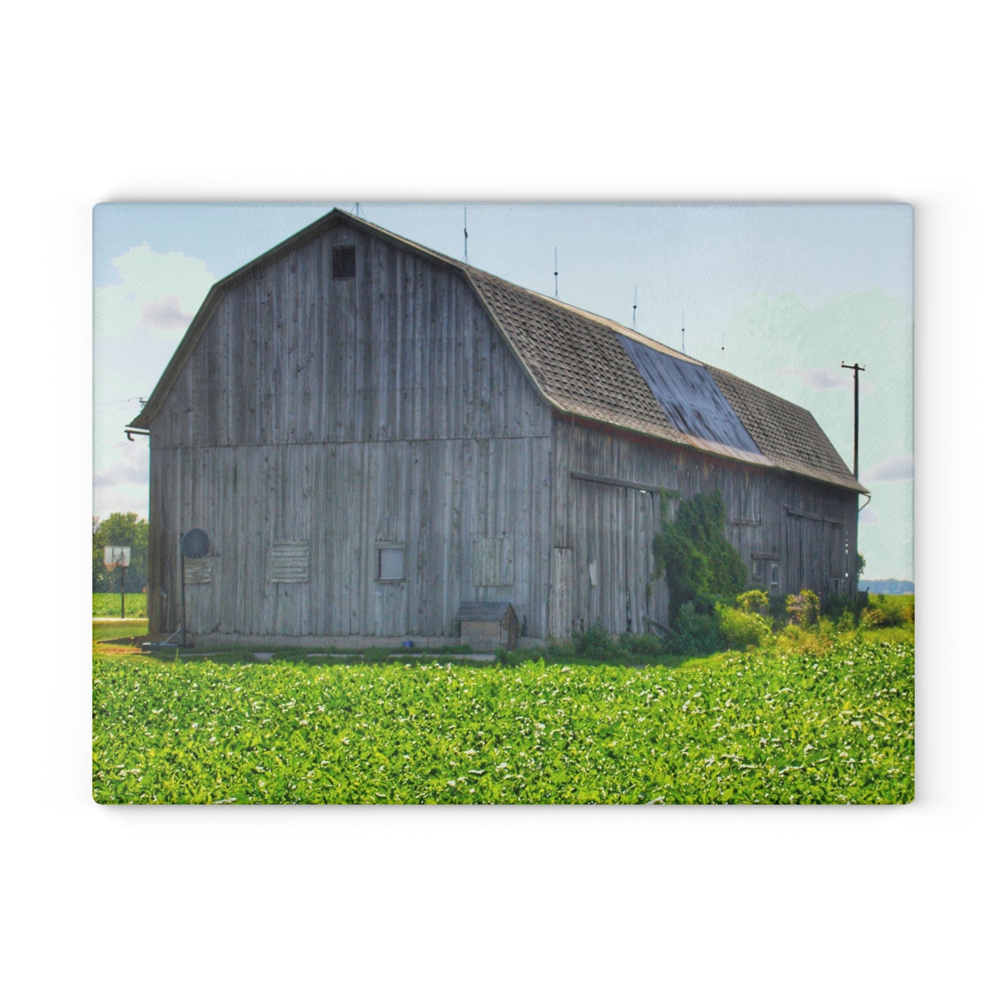 U R There Photography Morning Roadside Grey Rustic Farmhouse Tempered-Glass Cutting Board