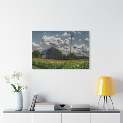 U R There Photography Grey Barn in a Cornfield Rustic Farmhouse Acrylic Wall Print