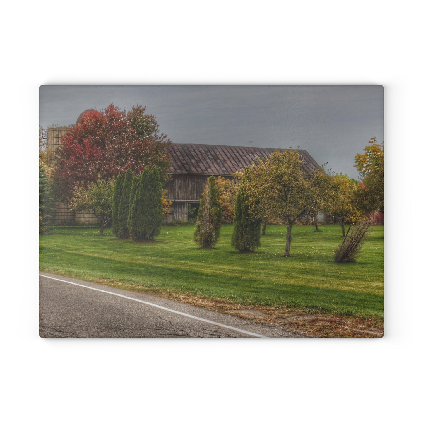 U R There Photography Goodrich Grey Rustic Farmhouse Tempered-Glass Cutting Board