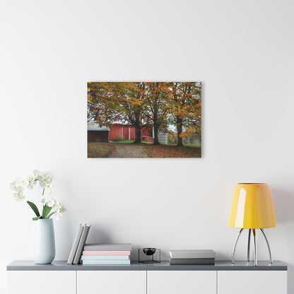 U R There Photography Brown Road Red in the Fall Rustic Farmhouse Acrylic Wall Print
