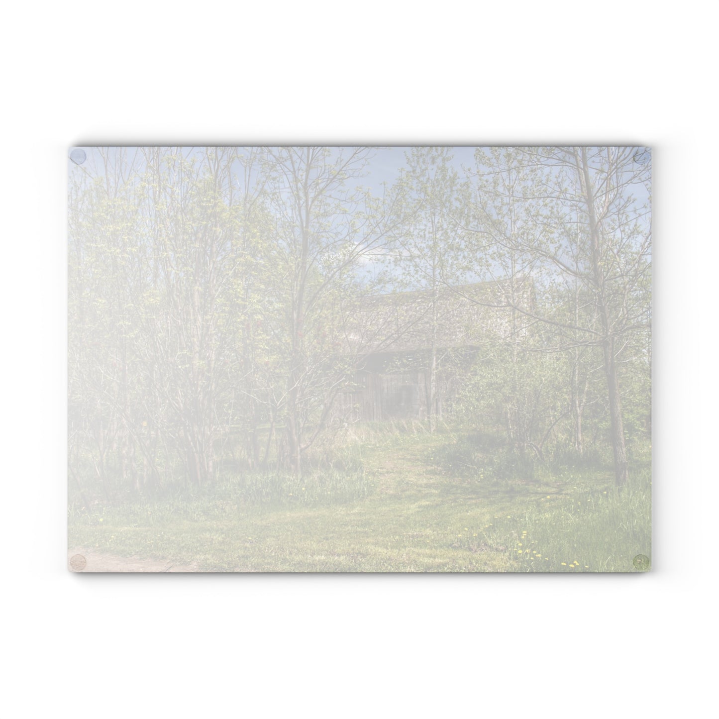 U R There Photography Bishop Road Grey I Rustic Farmhouse Tempered-Glass Cutting Board
