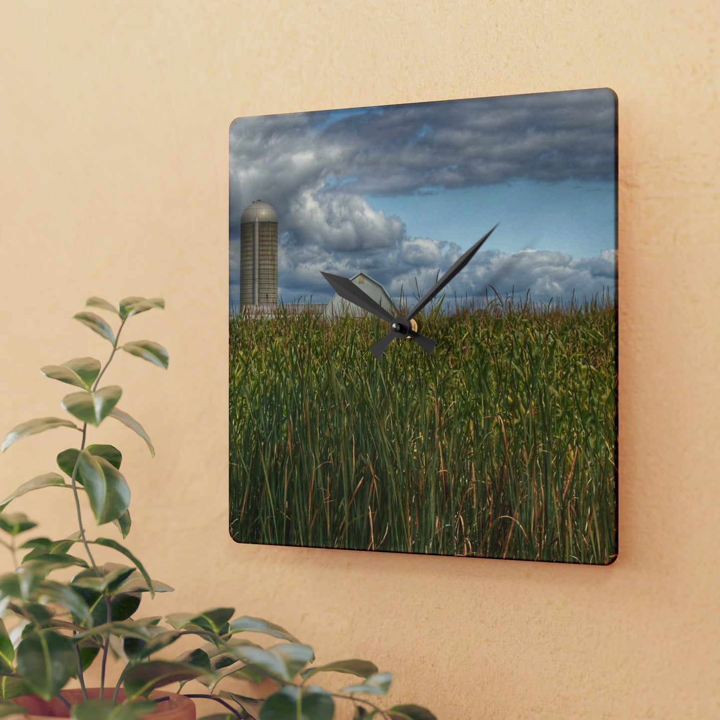 U R There Photography White Barn Overlooking Cornfield Rustic Farmhouse Acrylic Analog Wall Clock