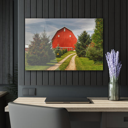 Barn Boutique Modern Farmhouse Acrylic Wall Print| Brown City Road Pine Red