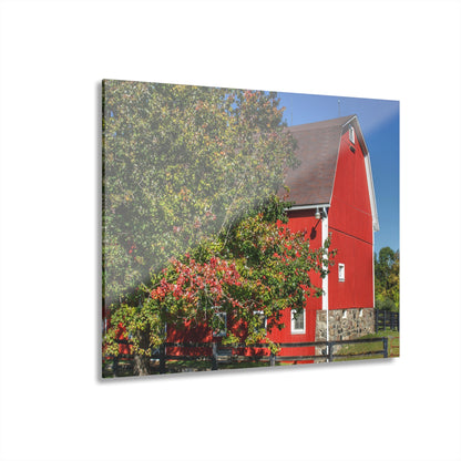 U R There Photography Oakwood Road Red Rustic Farmhouse Acrylic Wall Print