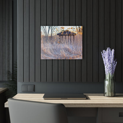 U R There Photography Haines Hidden Gazebo Rustic Farmhouse Acrylic Wall Print
