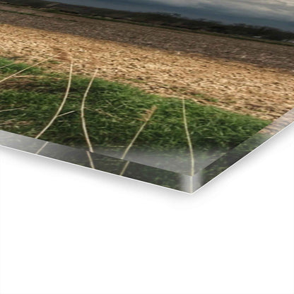 U R There Photography Sandusky Grey I Rustic Farmhouse Acrylic Wall Print