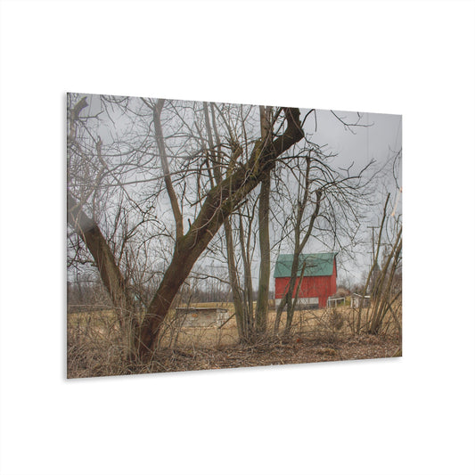 U R There Photography Daley Road Red II Rustic Farmhouse Acrylic Wall Print